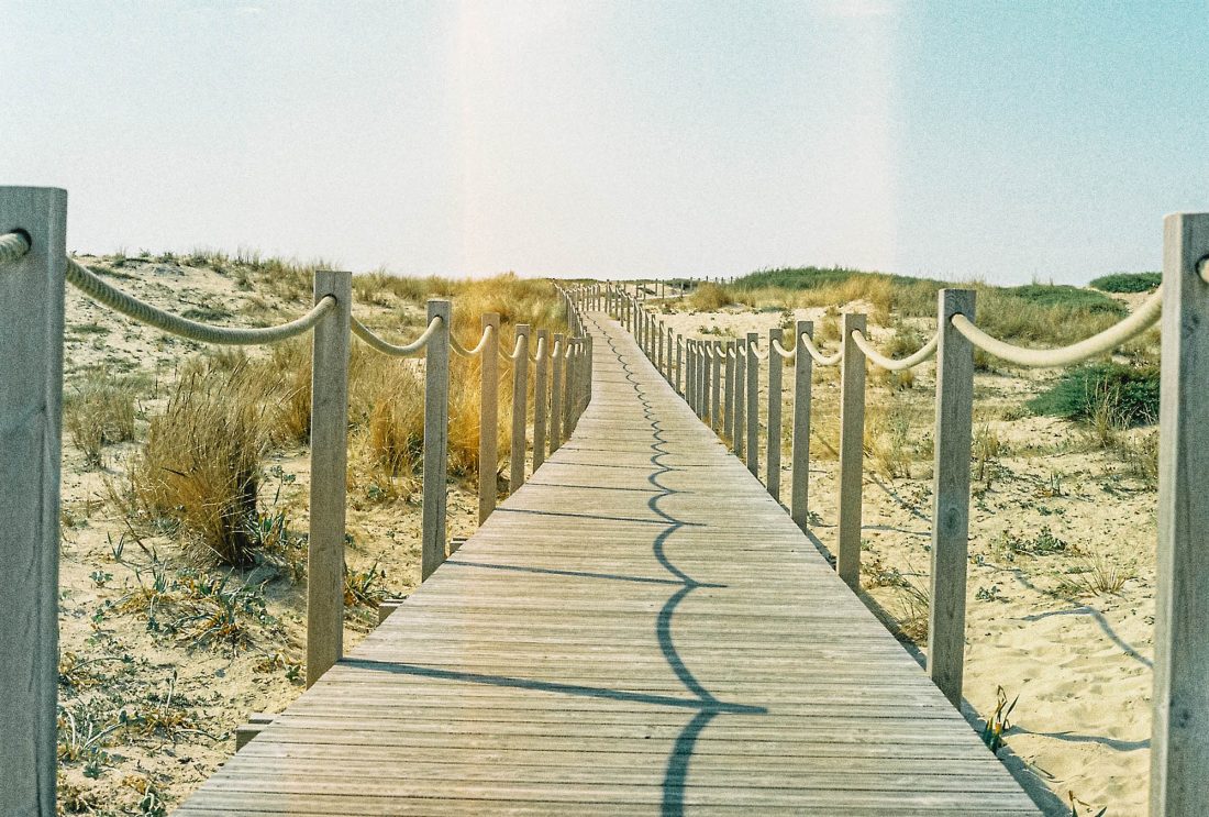 Ponton dunes océan Seignosse