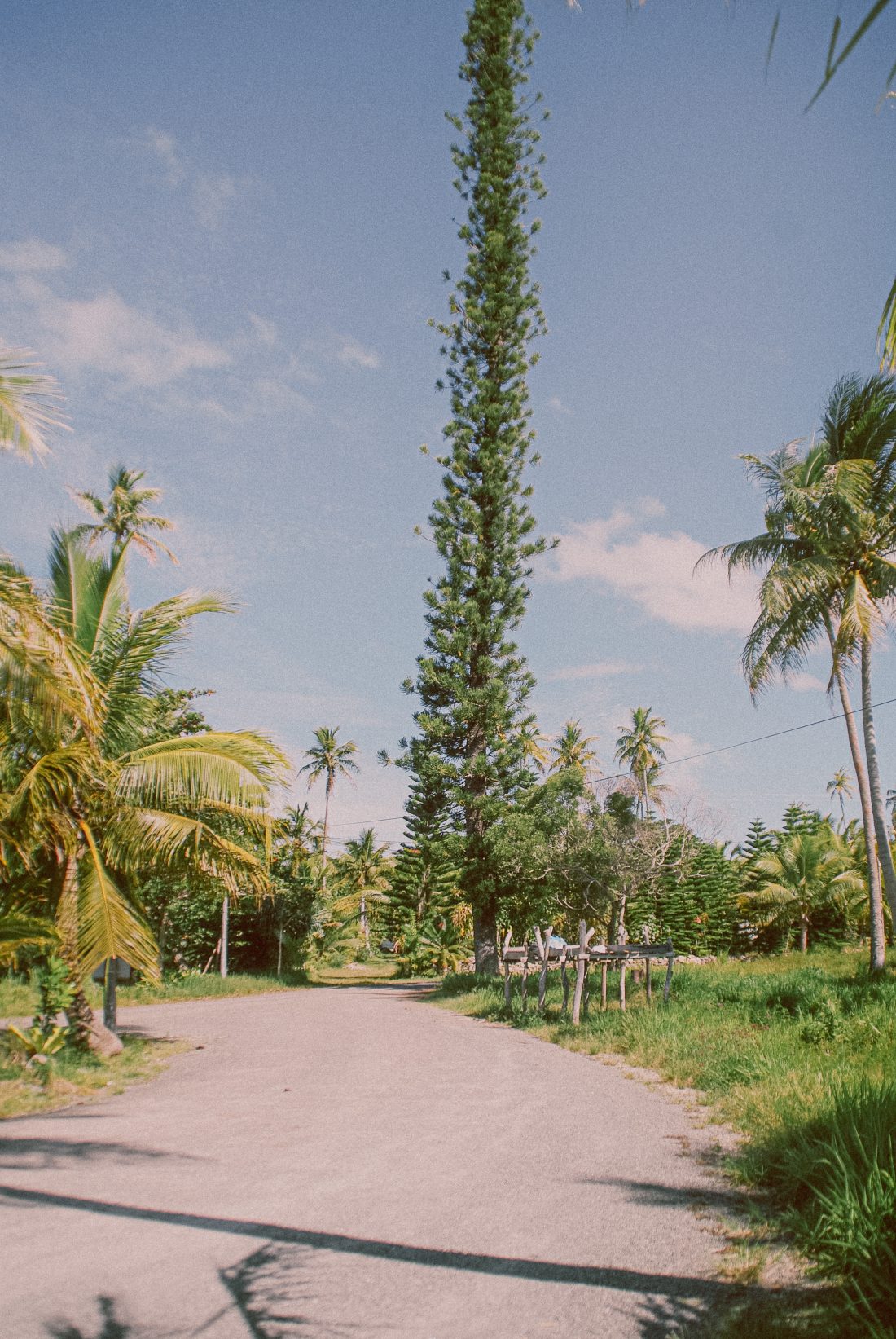 Photographie paysage - Fragments de vie