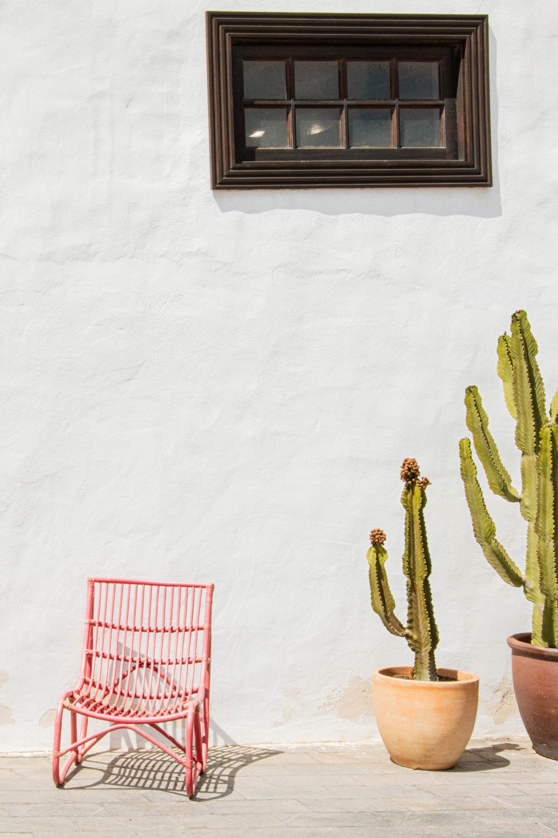 Chaise rose avec cactus