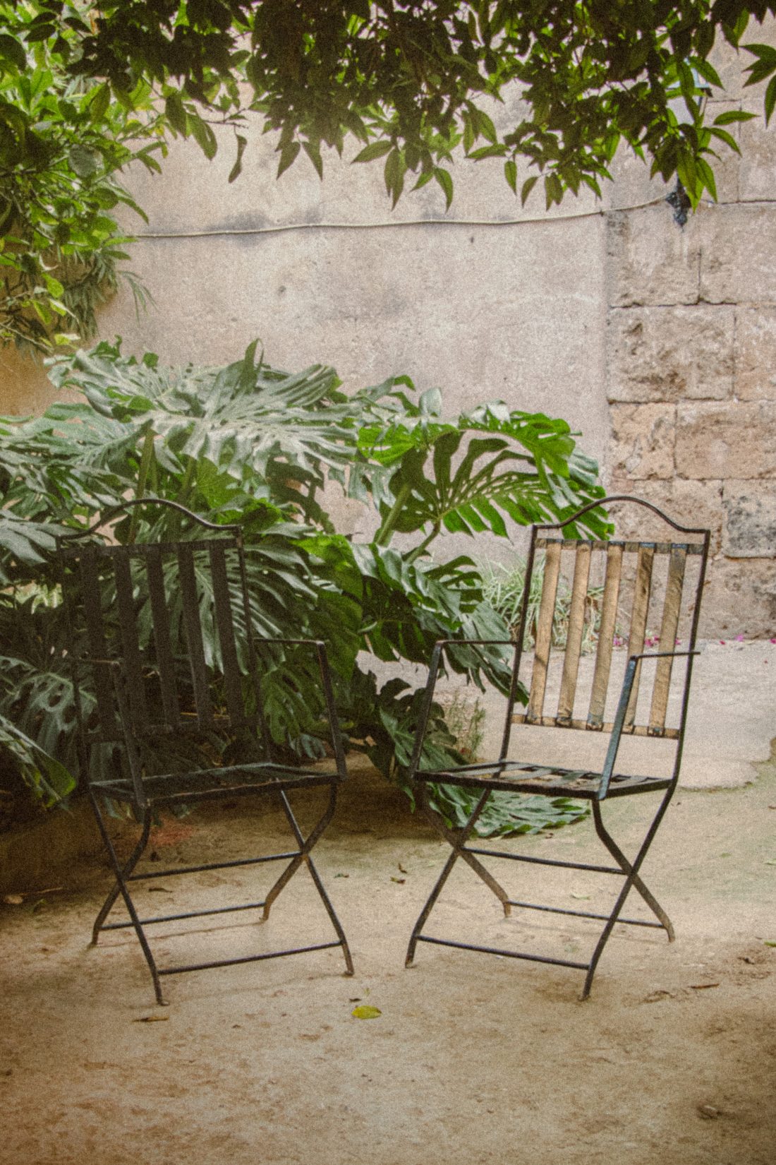Deux chaises dans un jardin