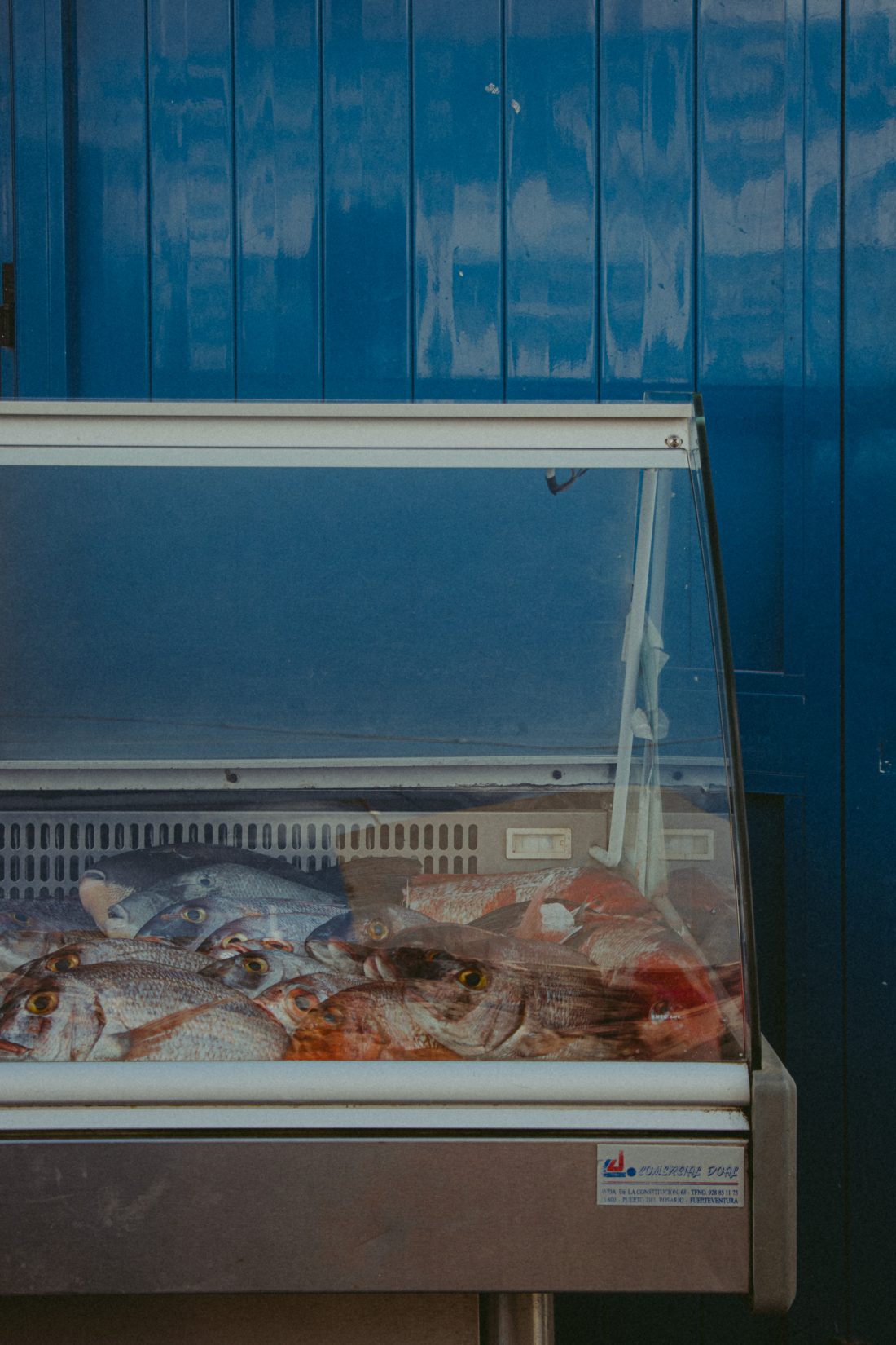 Étalage poisson frais d'un restaurant à El Cotillo
