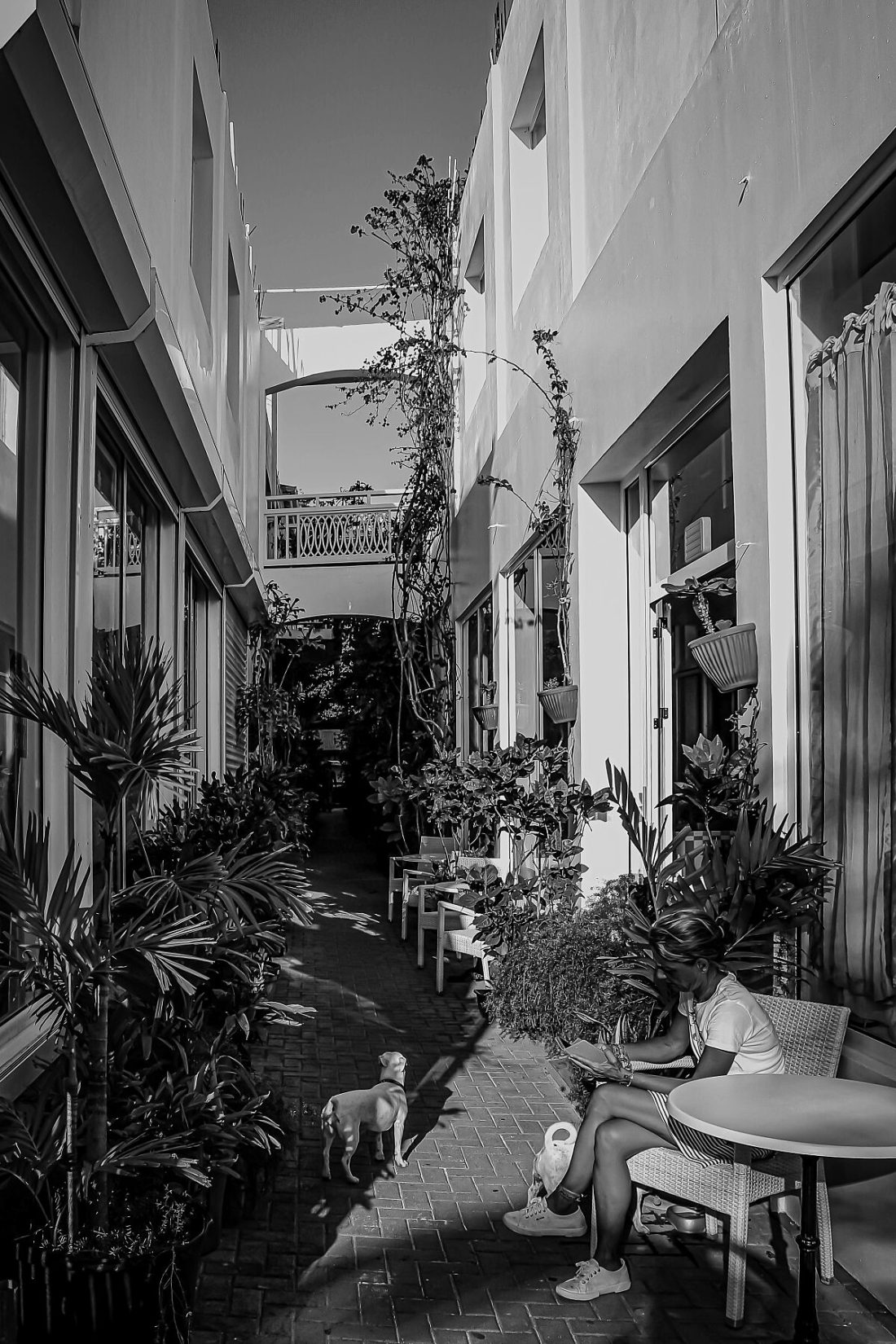 Woman reading original print